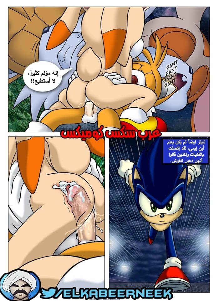315 سونيك والبحث عن إيمى 315 سونيك والبحث عن إيمى