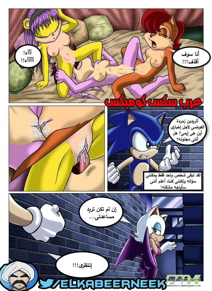 315 سونيك والبحث عن إيمى 315 سونيك والبحث عن إيمى